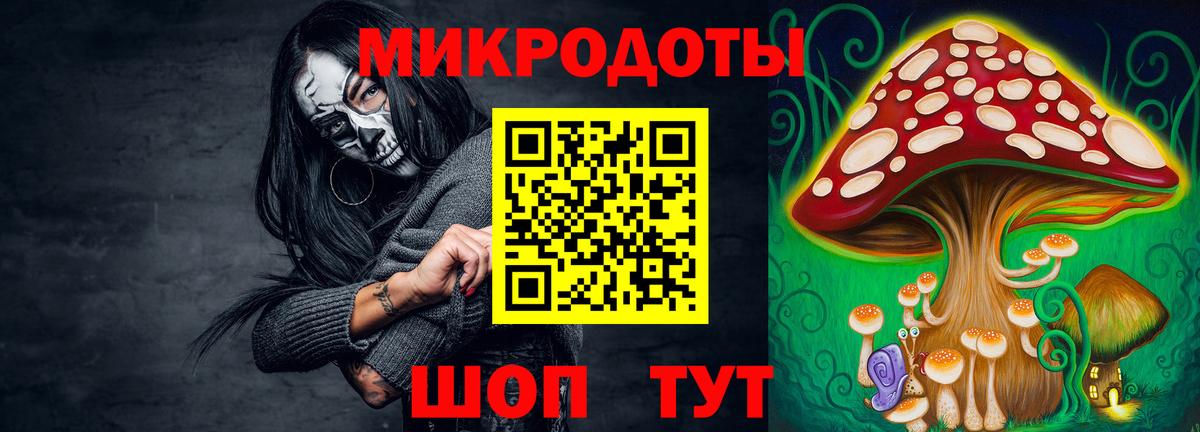 Псилоцибиновые грибы Cubensis Избербаш